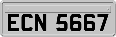 ECN5667
