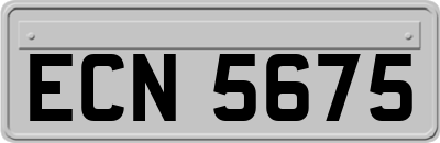 ECN5675