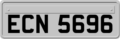 ECN5696