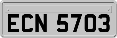 ECN5703