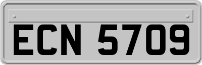 ECN5709
