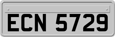 ECN5729