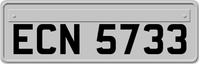 ECN5733