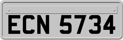 ECN5734