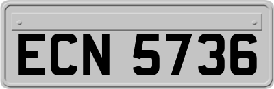 ECN5736