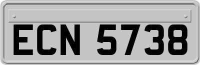 ECN5738
