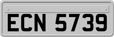 ECN5739
