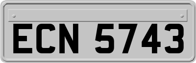 ECN5743
