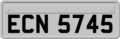 ECN5745