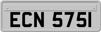 ECN5751