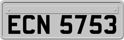 ECN5753