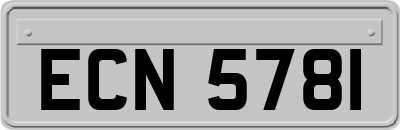 ECN5781