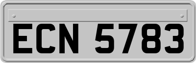 ECN5783
