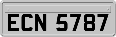 ECN5787