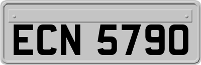 ECN5790