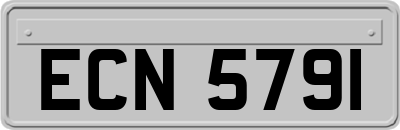 ECN5791
