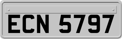 ECN5797