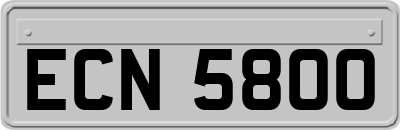 ECN5800