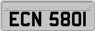 ECN5801