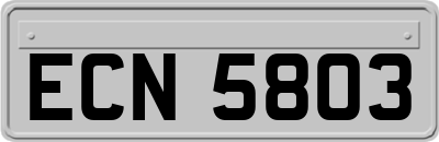 ECN5803