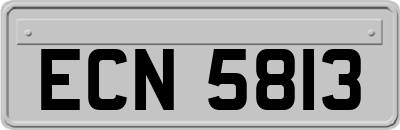 ECN5813