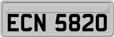ECN5820