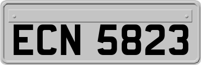 ECN5823