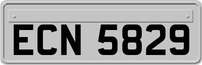 ECN5829