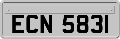 ECN5831