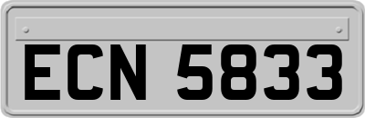 ECN5833