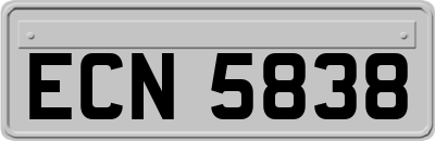 ECN5838