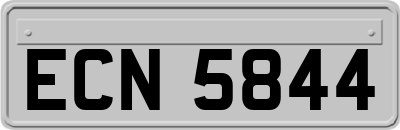 ECN5844