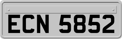 ECN5852