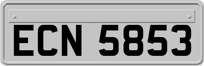 ECN5853