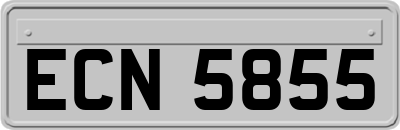 ECN5855