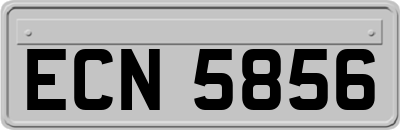 ECN5856