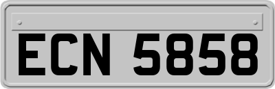 ECN5858