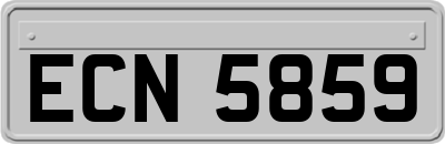 ECN5859