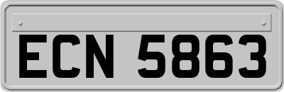 ECN5863