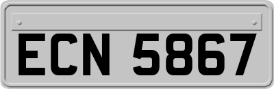ECN5867
