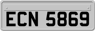 ECN5869