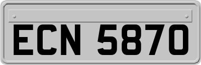 ECN5870