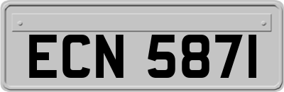 ECN5871