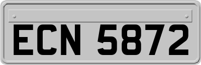 ECN5872
