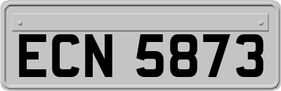 ECN5873