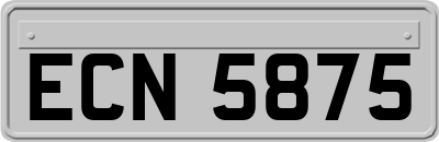 ECN5875