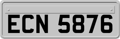 ECN5876