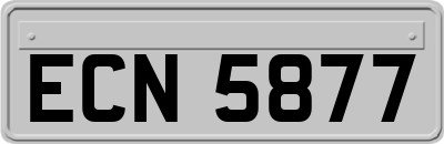 ECN5877