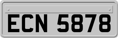 ECN5878