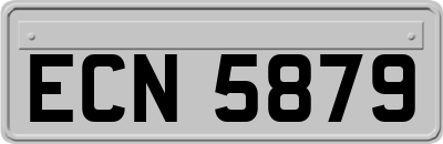 ECN5879